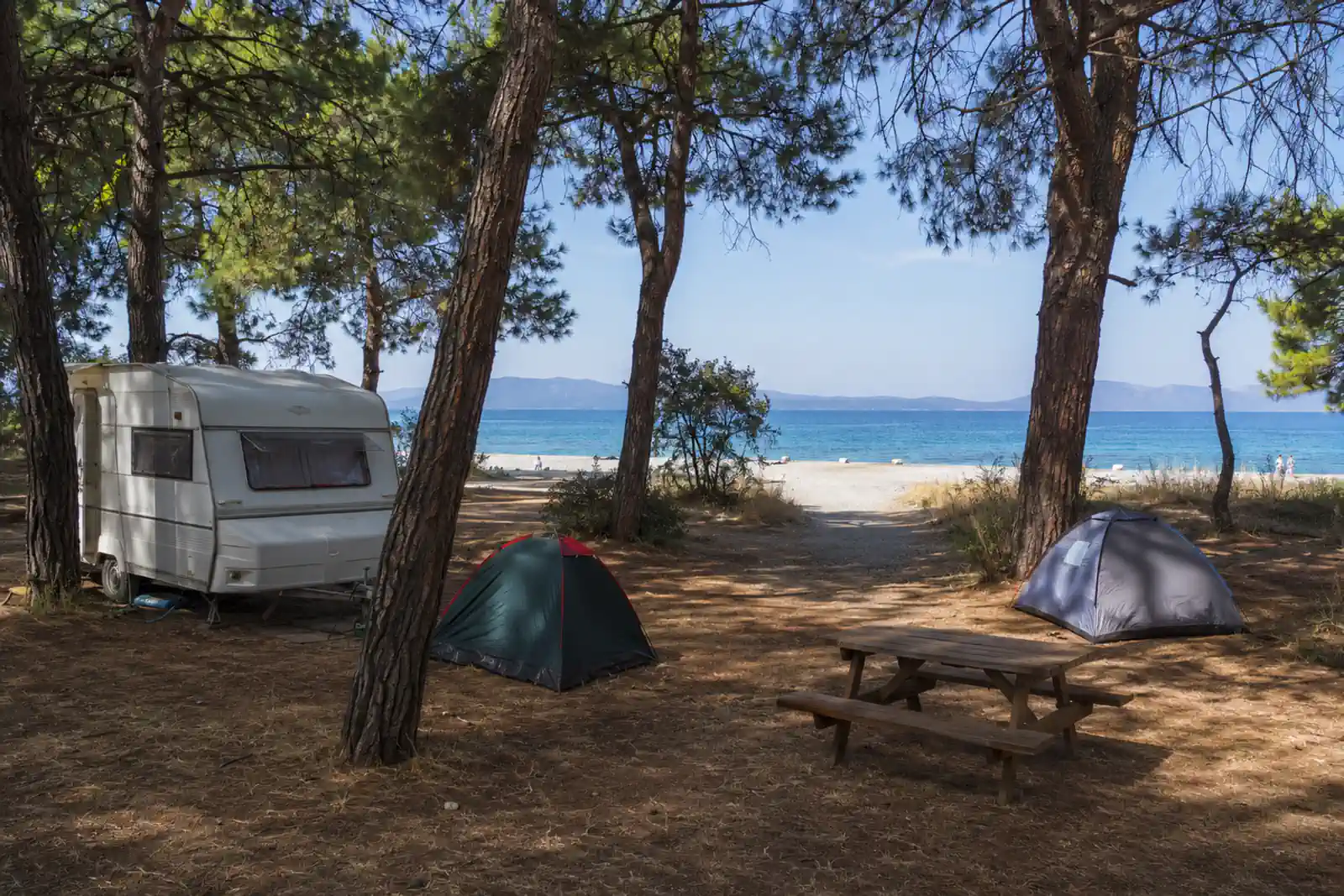 Ürkmez'de çam ormanı içinde sahil kamp ve karavan alanı
